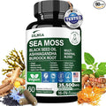 16-in-1 Organic Sea Moss Gel Alternative Capsules – Superfood Blend with Ashwagandha Black Seed Oil Turmeric Bladderwrack Burdock Elderberry Manuka Dandelion Yellow Dock Vitamin C &amp D3