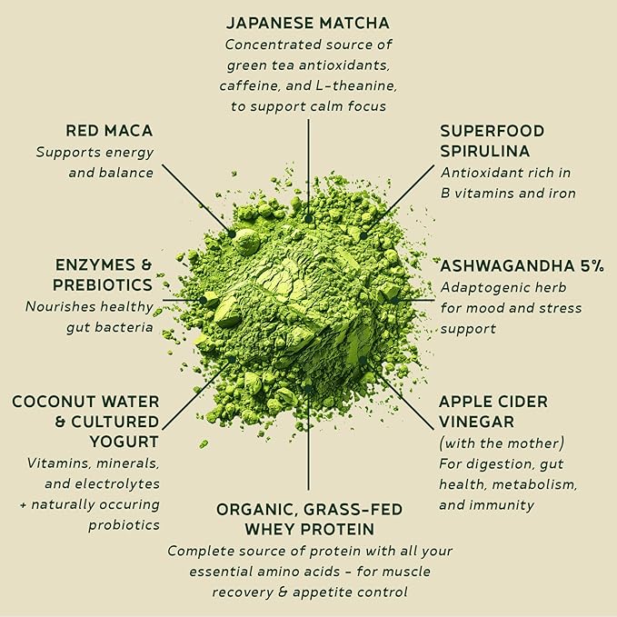 BBfL Grass-Fed Whey Protein Shake – 21g rBGH-Free Protein Matcha + Apple Cider Vinegar Prebiotics Digestive Enzymes Adaptogens for Stress &amp Mood Support – All-in-One Shake (10 Servings Matcha
