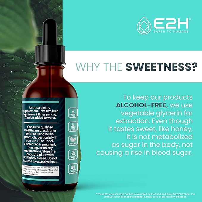 E2H Advanced Intestinal Support - Supports Intestinal Balance and Gut Health -Wormwood and Black Walnut Extract - Non-GMO Vegan - (3 Bottles)