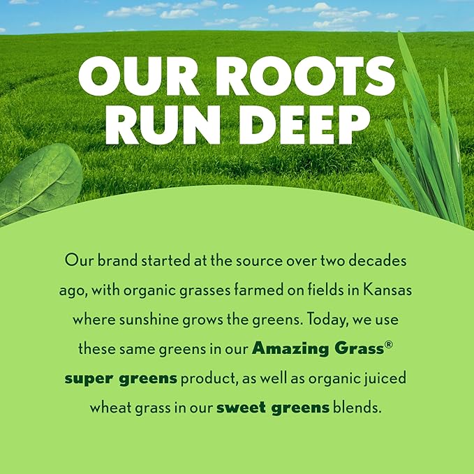 Amazing Grass Greens Blend Antioxidant: Super Greens Powder with Spirulina Beet Root Powder Elderberry Prebiotics &amp Probiotics Sweet Berry 15 Servings (Packaging May Vary)