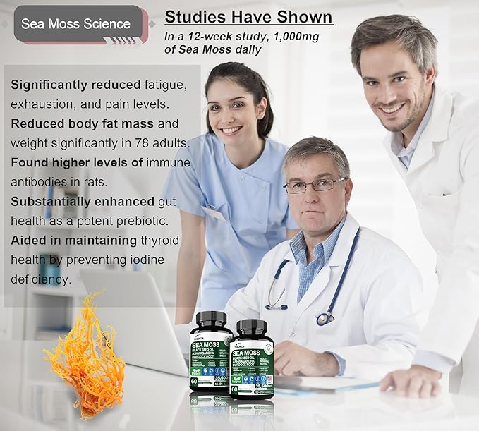 16-in-1 Organic Sea Moss Gel Alternative Capsules – Superfood Blend with Ashwagandha Black Seed Oil Turmeric Bladderwrack Burdock Elderberry Manuka Dandelion Yellow Dock Vitamin C &amp D3