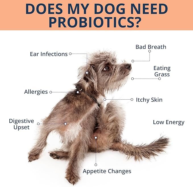 NOVEHA Probiotic Chews for Dogs | Ultimate Gut Health &amp Digestive Support | for Healthy Skin &amp Coat | Relieves Itching &amp Paw Licking | Probiotics for Pet Dogs with Allergies (180 Chews 2-P