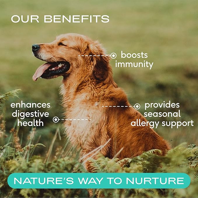 Native Pet Pup Power-Up Bundle: Colostrum for Dogs (120 Scoops) &amp Omega Oil for Dogs (16 Oz) - Bovine Colostrum Powder &amp Fast-Absorbing Omega 3 6 9 Supplement