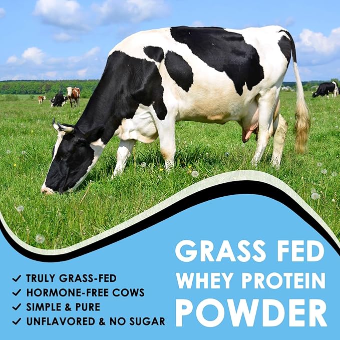 NATURE TARGET Whey Protein Powder Unflavored Protein Powder Whey Protein Isolate for Muscle Growth &amp Recovery 26G Protein Gluten Free &amp No Sugars 16 Servings 1.10 Pound (500 G)