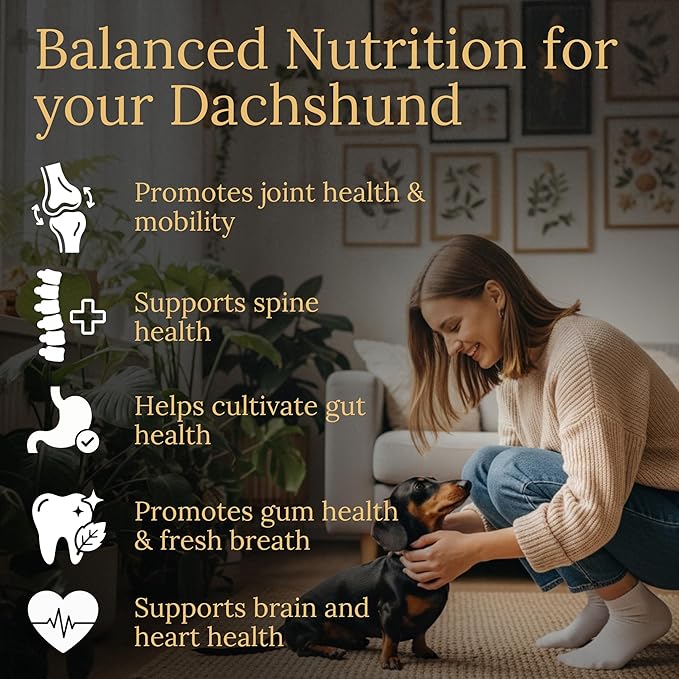 Multivitamins Balanced Nutrition for Dachshund 90 Count Made in The USA with Real Bacon