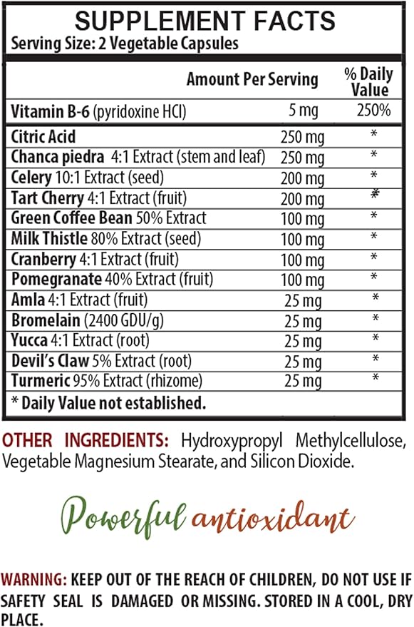 Milk Thistle Supplements - URIC Acid Natural ANTIOXIDANT - Tart Cherry Chanca PiedraTurmeric Milk Thistle Celery - 6 Bottles 360 Vegetable Capsules
