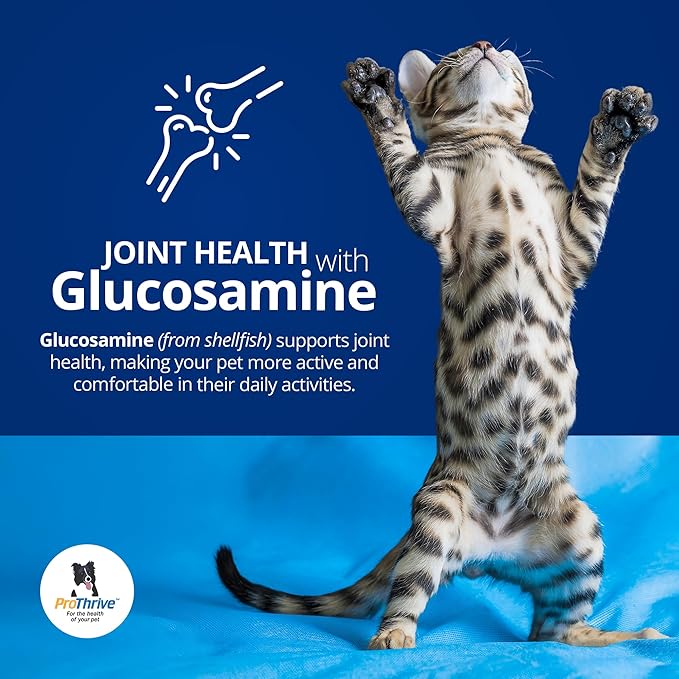 Spunky Digestive Supplement - Probiotics Digestive Enzymes Joint Support for Cats and Dogs | Gut Health | Pet Probiotics for Dogs and Cats - 3lb