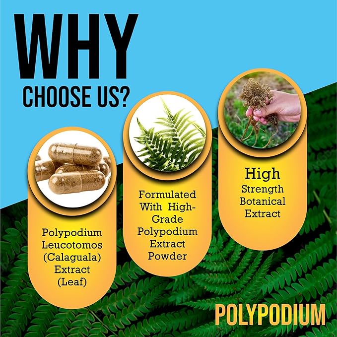 Skin Care Supplement Capsules - Nicotinamide/Niacinamide/Niacin 500mg (Vitamin B3) and Polypodium Leucotomos (Fern Extract) 480mg Antioxidant Rich Formula