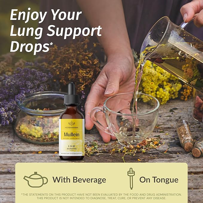 HERBAMAMA Liquid Drops Kit - Bundle of Turmeric Ginger Extract and Mullein Leaf Tincture 2 fl oz - Vegan Non-GMO Sugar &amp Alcohol-Free - 2 Pack