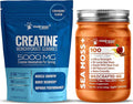 WELLNESS LABSRX Irish Sea Moss Gel Apple Cinnamon - Creatine Gummies 5000mg | Bundle