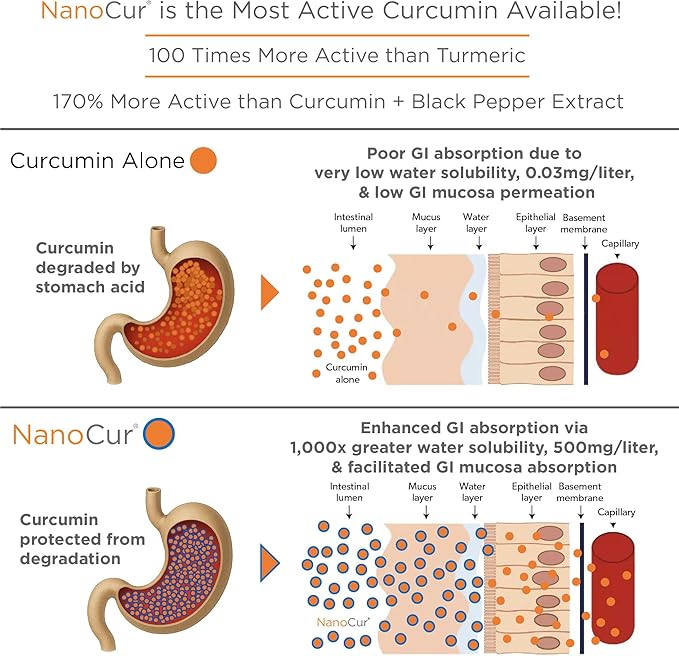 Turmeric Curcumin - 100x More Active Than Turmeric 170% More Active Than Curcumin + Black Pepper Extract. Joint Support Relief and Energy You’ll Feel. Organic Curcumin/Plant-Based Carrier.
