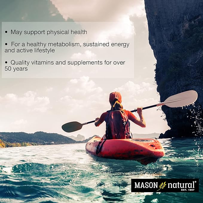 Mason Natural Vitamin B1 (Thiamin) 100 mg Healthy Conversion of Food into Energy Supports Nerve and Immune Health 100 Tablets (Pack of 3)