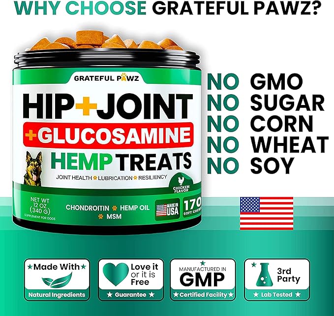 Hemp Hip and Joint Supplement for Dogs - Glucosamine for Dogs - 170 Joint Pain Relief Treats - Chondroitin MSM Hemp Oil - Advanced Health Supplement - Mobility Support Chews - Made in USA