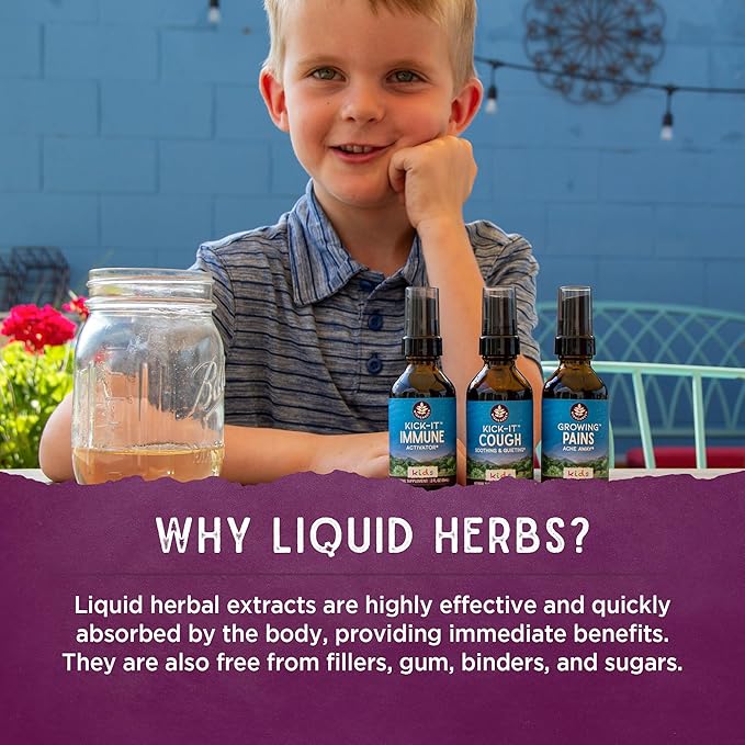 WishGarden Herbs Sleepy Nights for Kids Liquid Herbal Sleep Aid Without Melatonin Passionflower Oat Scullcap Supports Restful Sleep Non-Sedative USDA Organic 4oz