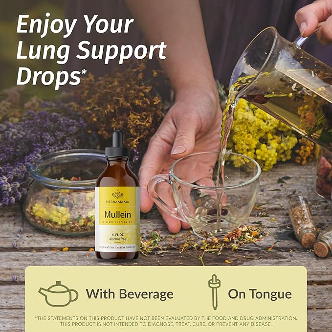 HERBAMAMA Liquid Drops Kit - Bundle of Turmeric Curcumin Extract &amp Mullein Leaf Tincture - Vegan Non-GMO Sugar &amp Alcohol-Free - 2 Pack