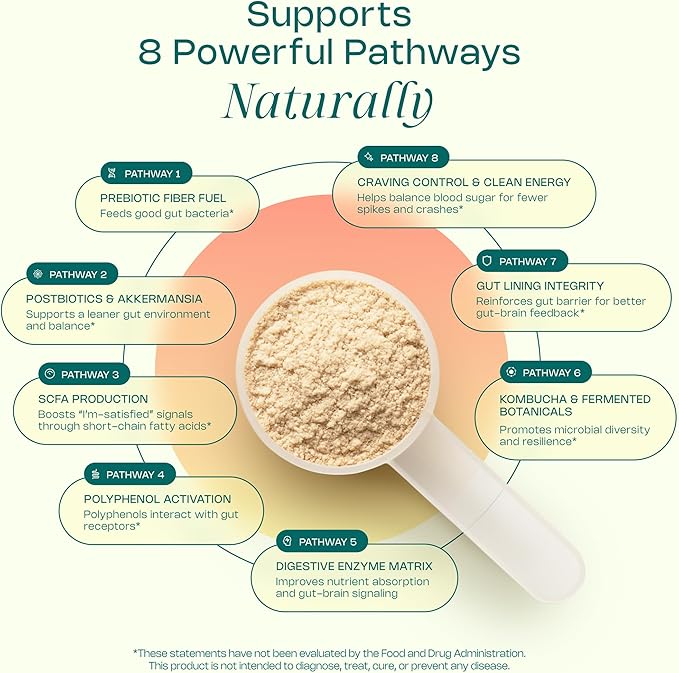 LevelUp® GLP Superfood – with Akkermansia Probiotic Prebiotics Postbiotics Digestive Enzymes &amp Polyphenols | Fiber-Powered Gut Drink | Keto Vegan Zero Sugar (Strawberry Lemonade)