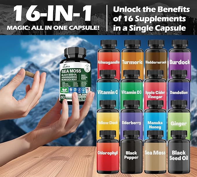 16-in-1 Organic Sea Moss Gel Alternative Capsules – Superfood Blend with Ashwagandha Black Seed Oil Turmeric Bladderwrack Burdock Elderberry Manuka Dandelion Yellow Dock Vitamin C &amp D3