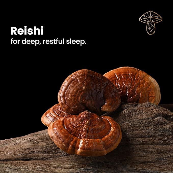 Sleep - Natural Sleep Supplement with Reishi Valerian Root and Skullcap | Regulating Long-Term Sleep Cycles - 60 Capsules