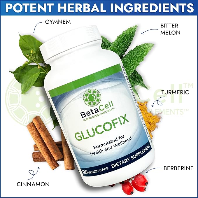 Glucofix - Berberine Supplement - Herbal Supplement with Cinnamon Gymnema Berberine Bitter Melon and Turmeric - 120 Capsules