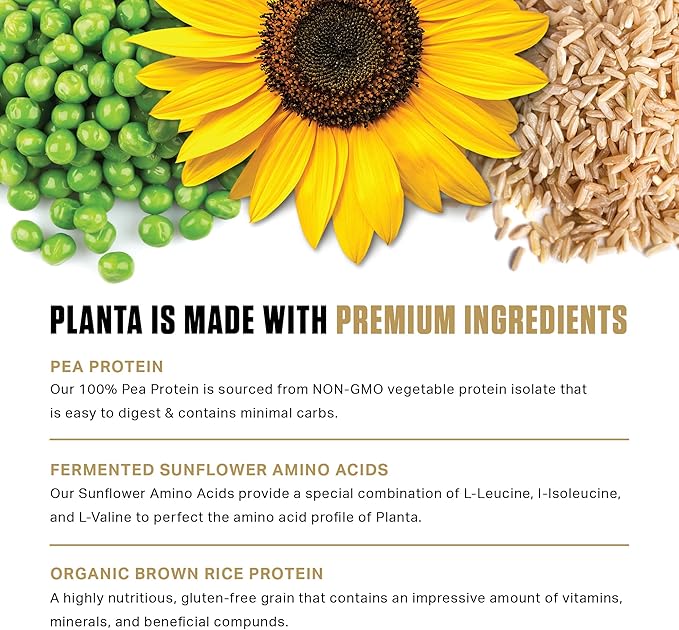 Ambrosia Planta - Plant-Based Protein Powder 20g | Dairy Free Vegan Protein Powder with BCAA Amino Acids | Keto-Friendly No Added Sugar | 25 Servings | Cookies Cream