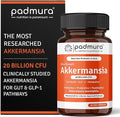 Akkermansia Muciniphila Probiotic Supplement - 20 Billion CFU | 30 Veg Capsules | Prebiotic + Probiotic + Postbiotic Blend | Increases GLP-1 Production | Supports Digestion &amp Gut Health