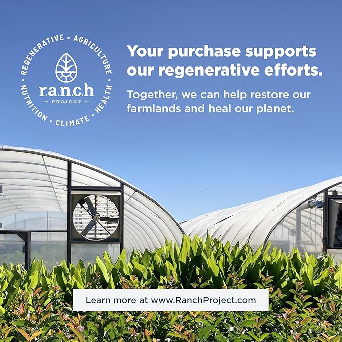 Ancient Nutrition Collagen Protein Brain Boost Collagen Protein Capsules Brain Supplement for Reduced Joint Discomfort Healthy Skin and Nails 90 ct