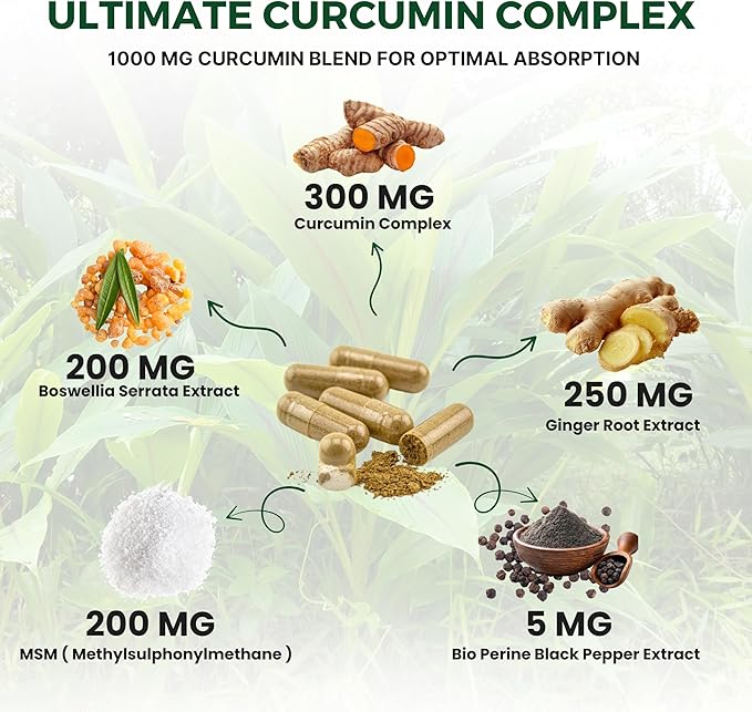Curcumin Complex | 60 Veg Capsules Turmeric Extract with Boswellia MSM &amp Botanical Blend Balanced Daily