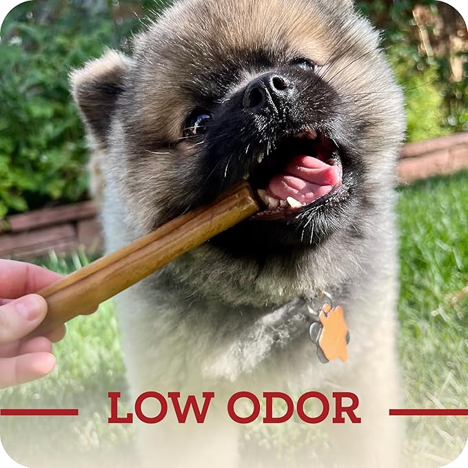 Redbarn Pet Products Redbarn Natural 12 Beef Collagen Braids - Case of 20 Sticks - Long Lasting Low-Odor Alternative to Rawhide &amp Bully Sticks -Single Ingredient Chew for Medium Large Dogs