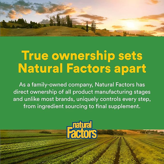 Natural Factors Turmeric &amp Bromelain 450 mg Muscle and Joint Support 90 Capsules