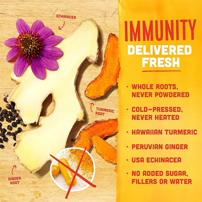 Vive Organic Immune Support Shot Cold-Pressed Ginger Turmeric &amp Echinacea Gluten Free Vegan Immunity Boost Original 2 Fl Oz (Pack of 12)