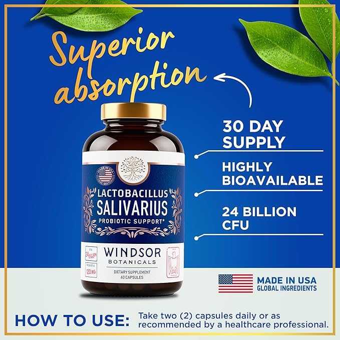 WINDSOR BOTANICALS Lactobacillus Salivarius Probiotic Capsules - L Salivarius Probiotic Oral Dental Probiotics for Bad Breath Teeth and Gums Health and Immune Support - 24bn CFU 2-Pack 120 Caps