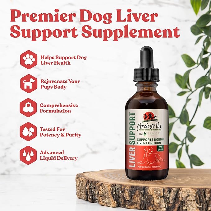 Ancient Pet Liver - Advanced Liver Support Supplement for Dogs - Liquid Delivery for Better Absorption - Milk Thistle Dandelion Artichoke &amp More!