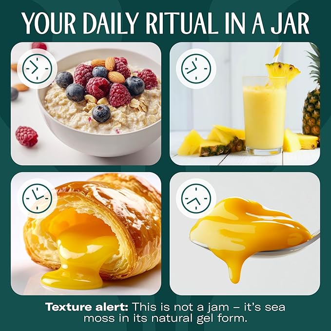 TrueSeaMoss Sea Moss Gel – Made in USA – Wildcrafted Seamoss Fruits &amp Jarred Vegetables – Pineapple Pack of 2 (Labels may Vary)