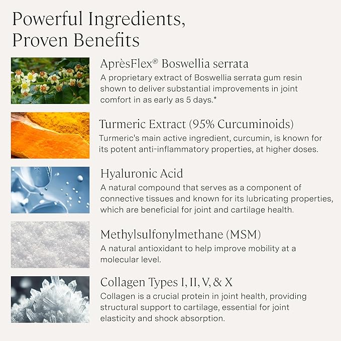 Stonehenge Health Dynamic Joint + Dynamic Turmeric Bundle Supplements Supports Comfort Mobility Flexibility