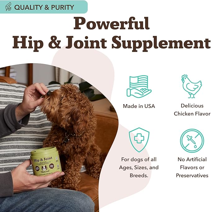 Natural Dog Company Hip &amp Joint Supplement Chew for Dogs – Supports Mobility Flexibility &amp Comfort Glucosamine Chondroitin MSM &amp Turmeric Chicken Flavor 90 Count