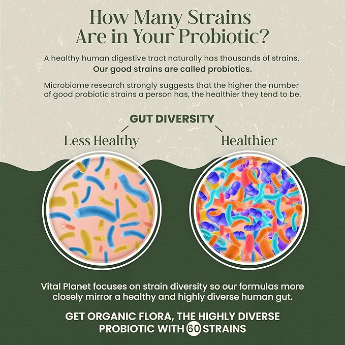 Vital Planet - Organic Flora Probiotics for Gut Balance Shelf Stable Probiotic 30 Billion CFU 60 Diverse Strains Prebiotic Organic Mushroom Blend for Immune Support and Digestive Health 30 Capsules