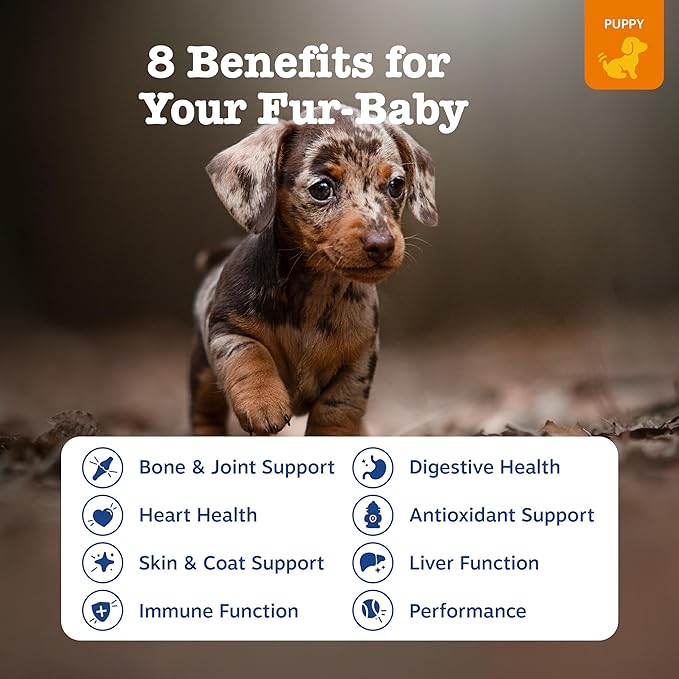 Zesty Paws Dog Multivitamin Chewable Dog Vitamins and Supplements for Hip &amp Joints Skin &amp Coat Omega 3 Fish Oil for Dogs- Puppy Multivitamin - Chicken Puppy Bites- 90ct