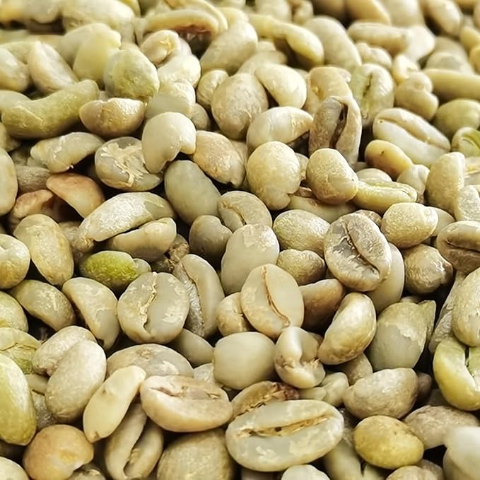 FixtureDisplays Ethiopian Yirgacheffe Raw Green Unroasted Coffee Beans 8 Ounces Sample Size 15883-1D