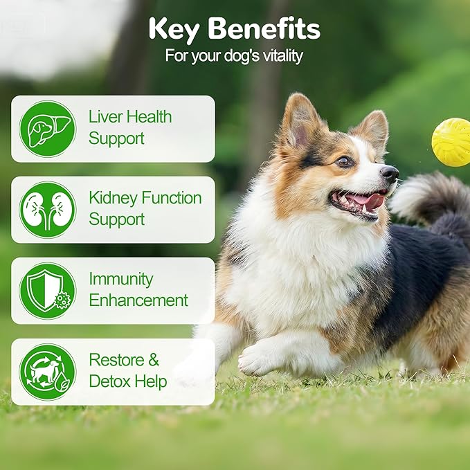 Liver Support for Dogs Milk Thistle for Dogs - Detox Metabolic Dog Multivitamin Supplement for Liver and Kidney Support &amp Immune Health 200 Soft Chews