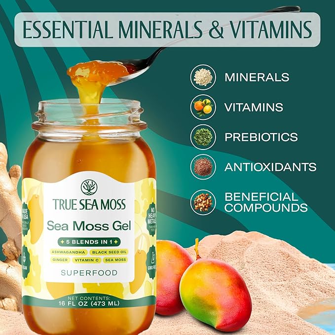 TrueSeaMoss Sea Moss Gel – Made in USA – 5-in-1 Formula – Wildcrafted Seamoss Ashwagandha &amp Jarred Vegetables – Ashwagandha Pack of 1 (Labels may Vary)