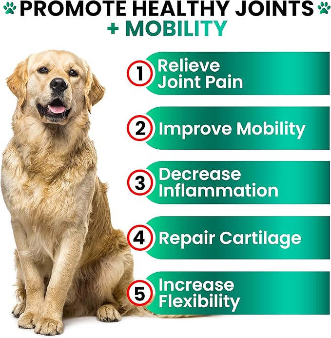 Hemp Hip and Joint Supplement for Dogs - Glucosamine for Dogs - 170 Joint Pain Relief Treats - Chondroitin MSM Hemp Oil - Advanced Health Supplement - Mobility Support Chews - Made in USA