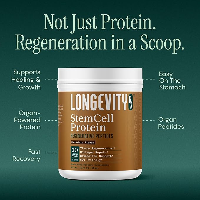 Stem Cell Protein Powder Chocolate – Bone Marrow &amp Bone Broth Protein Bacillus Subtilis AB-22 Natural Peptides – Cellular Recovery – 30 Servings