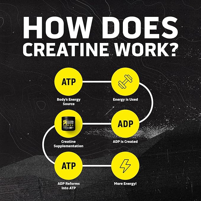 Ascent Clean Creatine Monohydrate Powder - 5G Per Serving Creapure Supplement - Unflavored 45 Servings