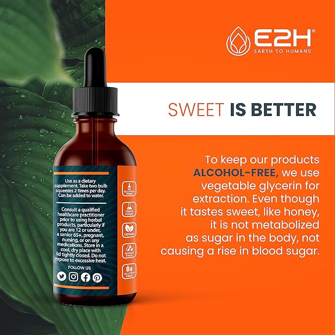 E2H Turmeric Curcumin Drops with Black Pepper - Boost Your Health - Joint Support Supplement - Vegan - Non-GMO - (2 Bottles)
