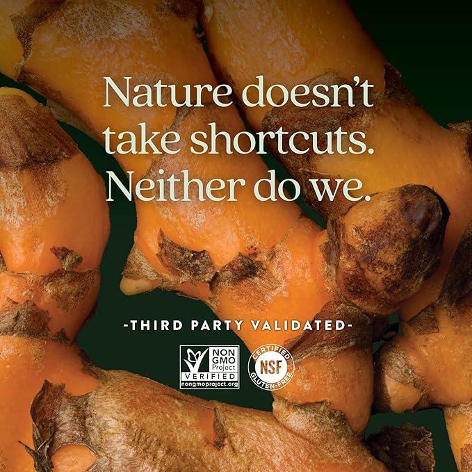 New Chapter Turmeric Supplement One Daily Heart Brain &amp Healthy Inflammation Support Supercritical Turmeric Curcumin Means No Black Pepper Needed Non-GMO Gluten Free – 60 Count (2 Month Supp