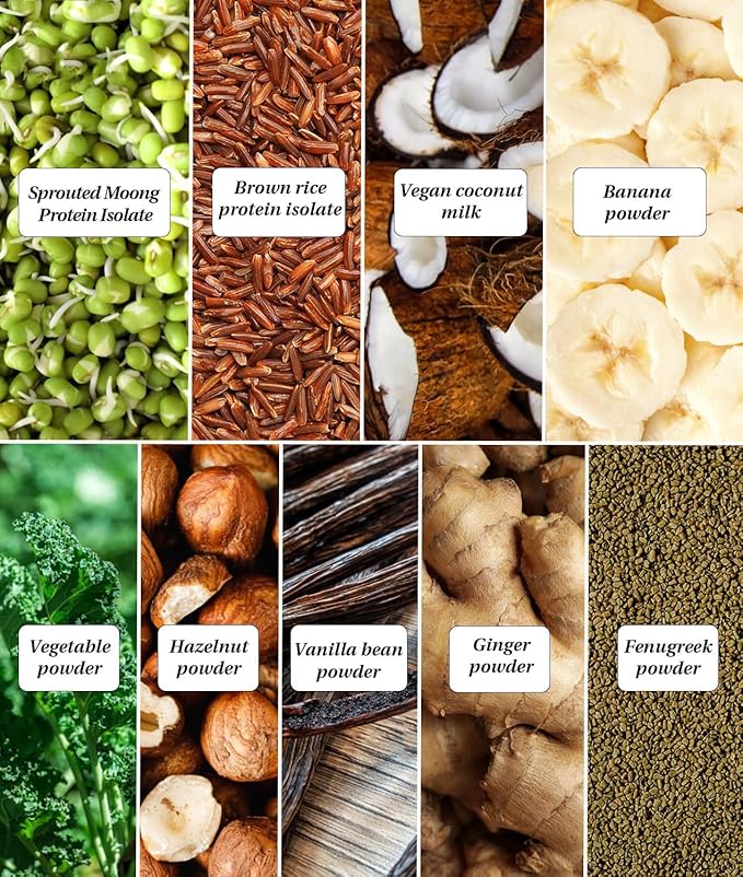It's Moong Mung Bean &amp Brown Rice Isolate Plant Protein 24gms per Serve 4.7gms BCAA Belgian Chocolate 500gms Sprouted Plant Based Protein Easy on the Gut Easy Digestibility
