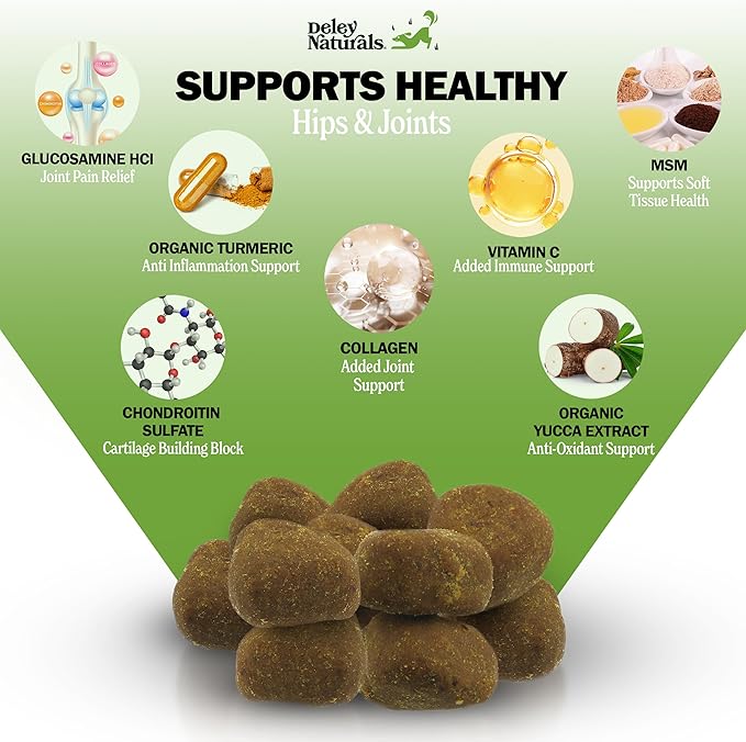 Deley Naturals Hip and Joint Supplement for Dogs - Glucosamine Chondroitin MSM &amp Collagen for Dogs - Dog Joint Supplement Smaller Chews Low Calories Same Ingredients - 120 Bacon Flavor Chews