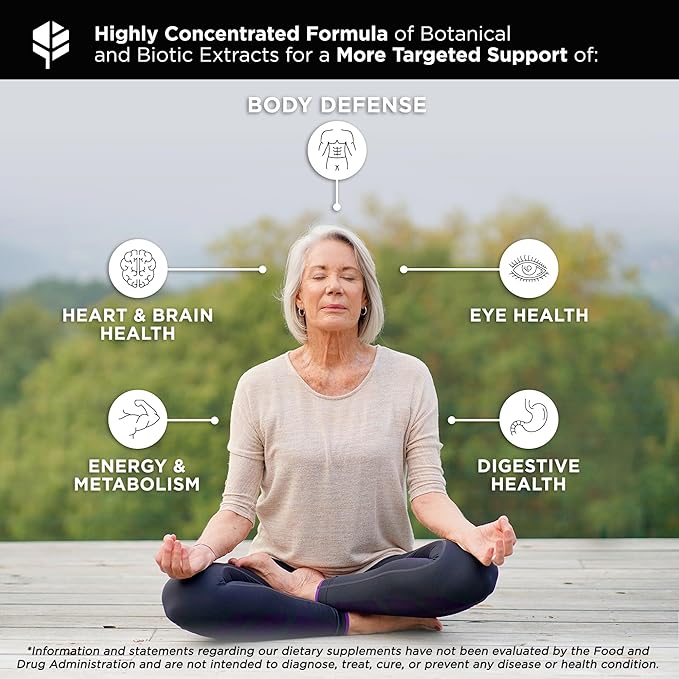 Whole Food Daily Essential Multivitamins for Adults and Seniors - 2X a Day - Vitamin A C D E B12 and Minerals - Natural and Holistic Support (60 Capsules)