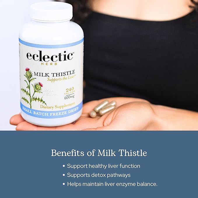 Eclectic Herb - Premium Freeze Dried Milk Thistle Capsules | Silymarin Supplement | Liver Support Detox Cleanse + Maintain | Vegan Natural Non-GMO Gluten Free (240 CT | 600 mg)