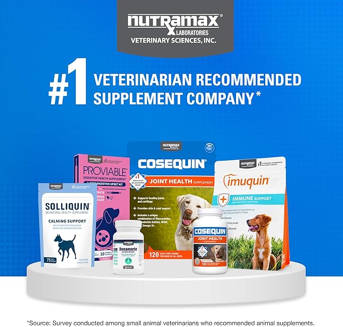 Cosequin Minis Soft Chews Maximum Strength with MSM Plus Omega345 Count (Pack of 2)